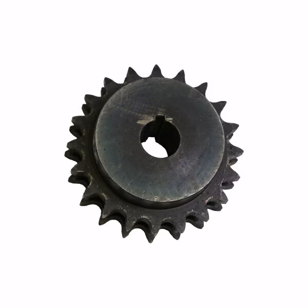 D80 B20 H1 5 Double Sprocket 1