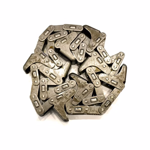 K208978 Chain 1