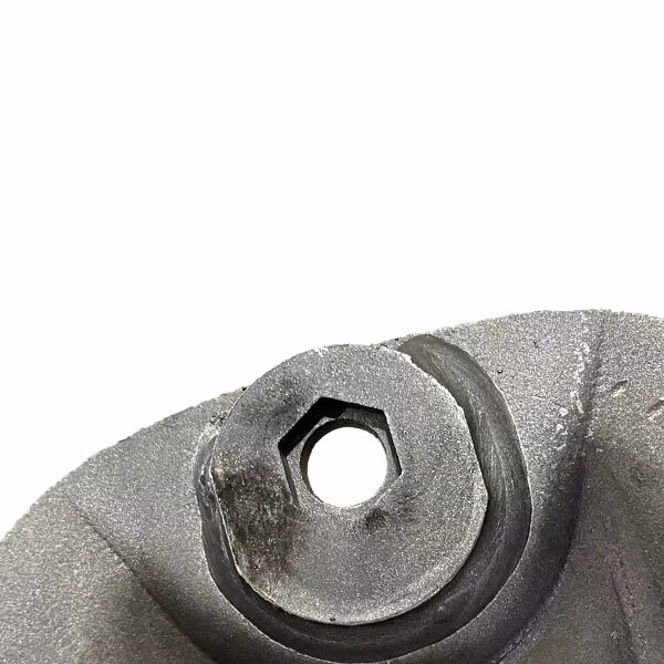 K70632 Turtle Disc 4