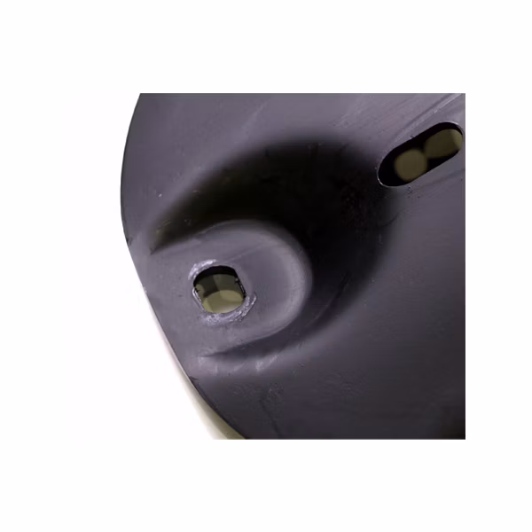 K87646406 Turtle Disc 2