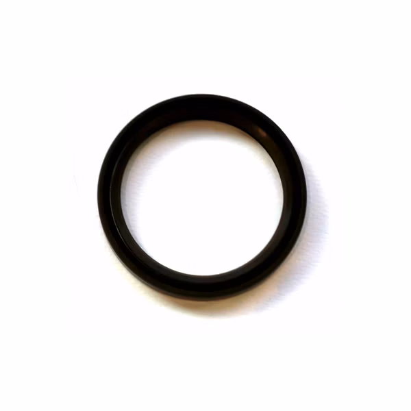 SC1000222 Viton Double Lip Seal 2