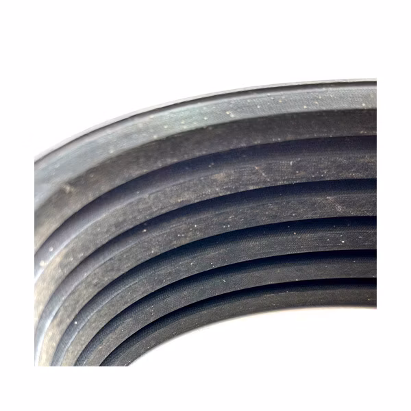SCHB10000 Drive Belt 1