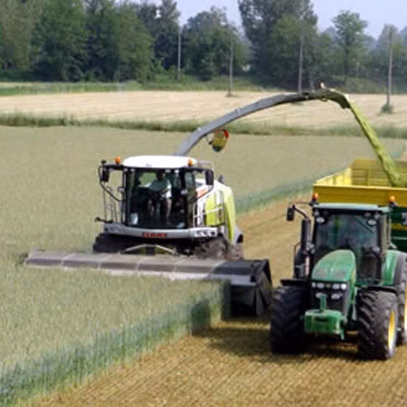 Forager cutting grass