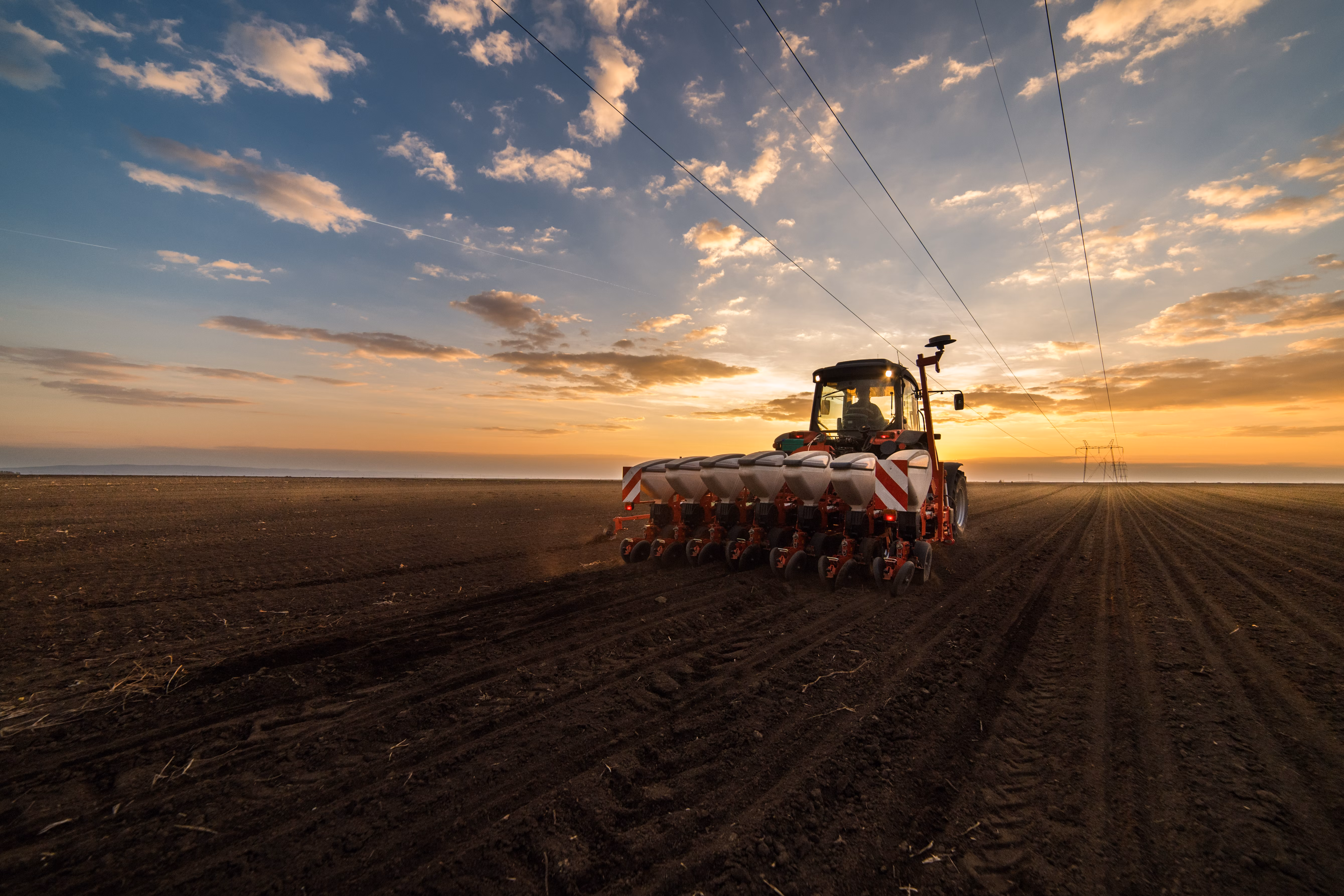 Planter Adobe Stock 143893182