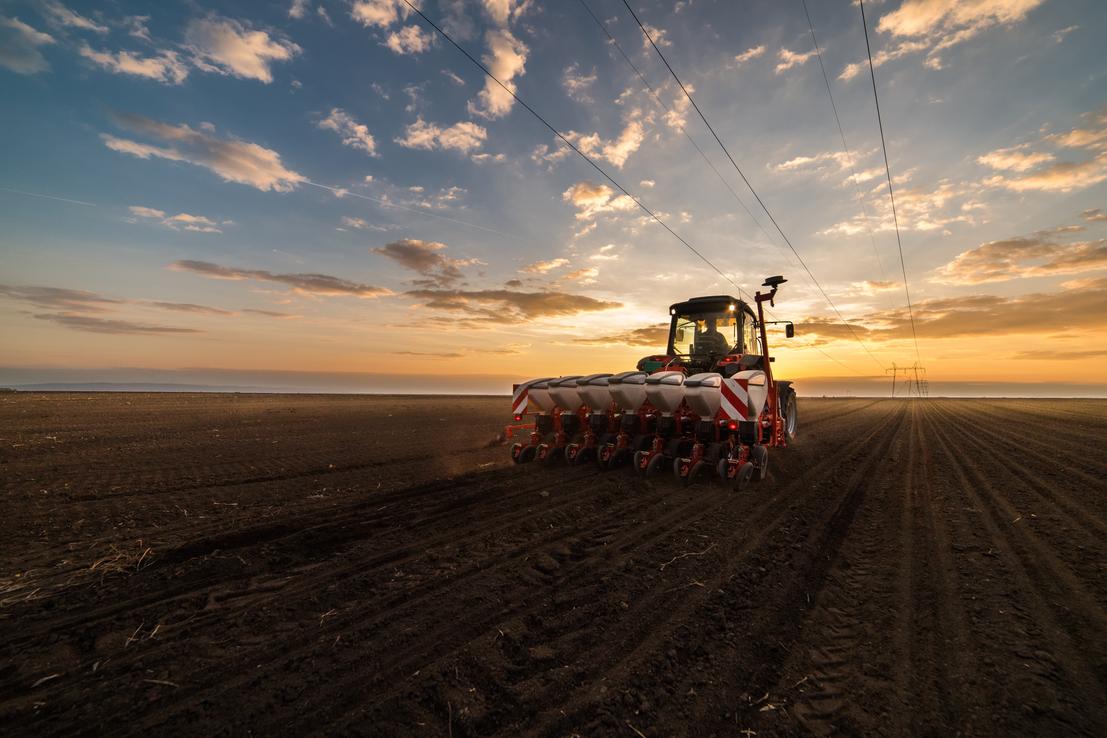 Planter Adobe Stock 143893182