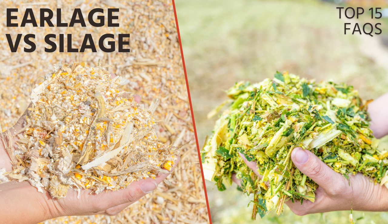 Earlage vs silage